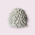 Figura de Yeso sin Pintar – Oveja Decorativa 🐑