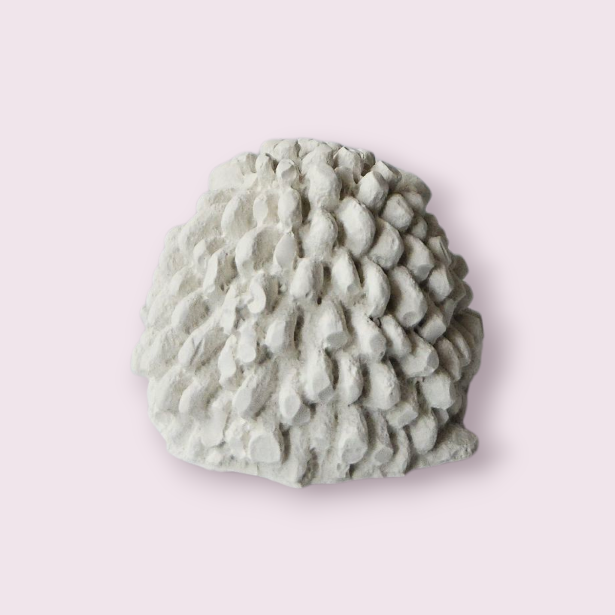 Figura de Yeso sin Pintar – Oveja Decorativa 🐑