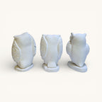 Búhos en Yeso para Pintar – Set Artesanal x3